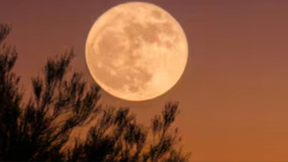 Luna de la Cosecha en septiembre 2026: disfruta el espectáculo con Saturno y Neptuno el 26 de septiembre Luna de la Cosecha en septiembre 2026: disfruta el espectáculo con Saturno y Neptuno el 26 de septiembre