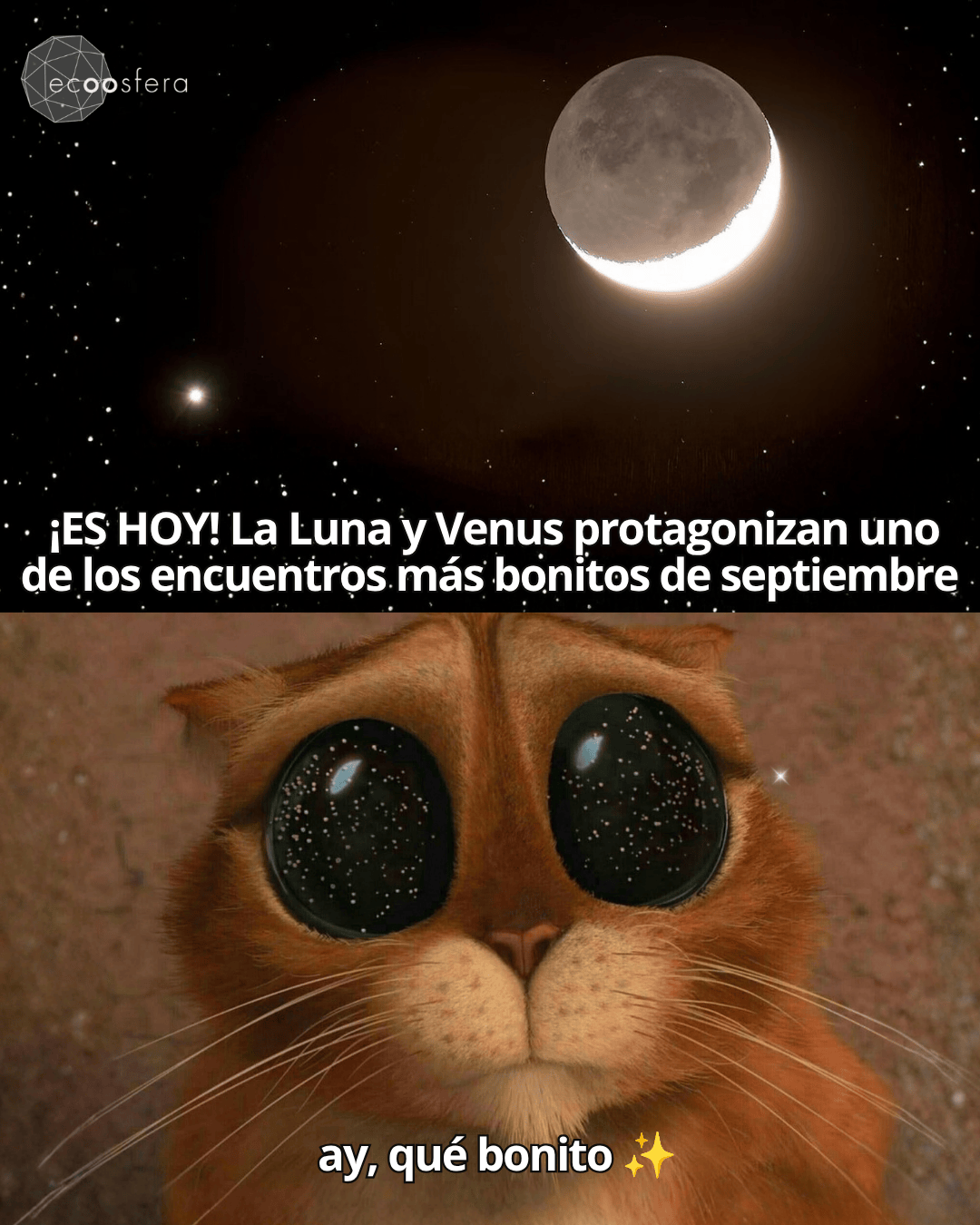 Luna y Venus juntos esta noche: cómo ver el cielo más bonito del mes