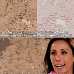 Marte tuvo estaciones como la Tierra y Curiosity encontró la prueba