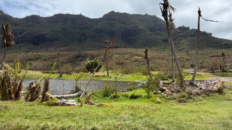 Más de 500 voluntarios reconstruyeron 244 metros de un muro de 600 años y poco después un huracán volvió a ponerlo todo en peligro