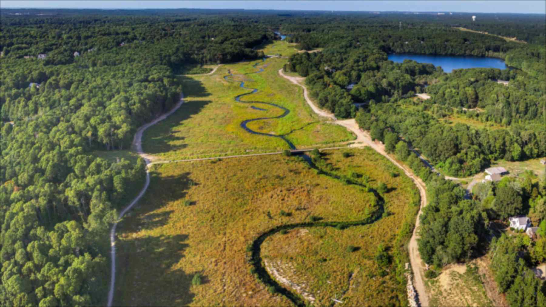 Massachusetts quitó dos presas del río Coonamessett, en Cape Cod, y convirtió antiguos campos de arándanos en 22,7 hectáreas de humedales, donde ya han vuelto más de 200 especies de plantas nativas Massachusetts quitó dos presas del río Coonamessett, en Cape Cod, y convirtió antiguos campos de arándanos en 22,7 hectáreas de humedales, donde ya han vuelto más de 200 especies de plantas nativas