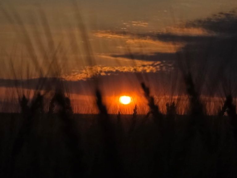Meteorología anuncia un caluroso inicio de semana
