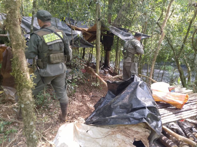 Misiones: descubren y destruyen un campamento de cazadores furtivos dentro de la Reserva de Biosfera Yabotí