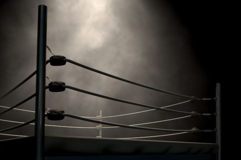 Muere exestrella de la WWE un día después de su última lucha