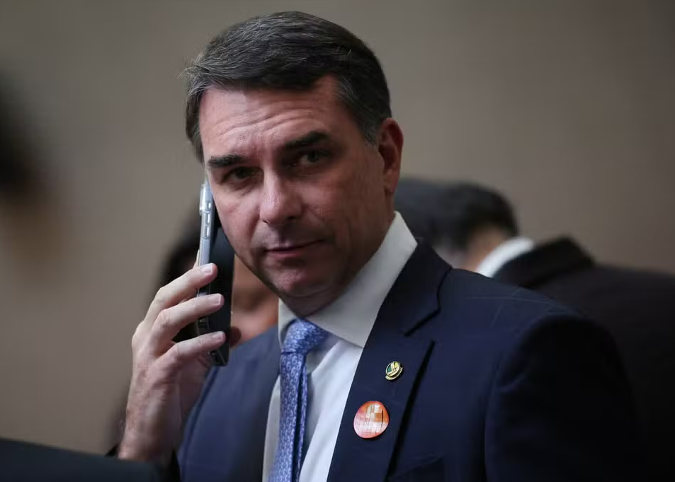 O eleitor adestrado