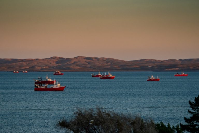 Pesca ilegal y un pedido de transparencia: crece el debate por el control de los recursos del Mar Argentino