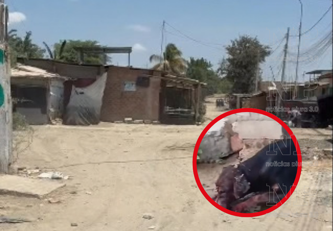 Piura: indignación por muerte de Cielito, perrita atacada con un machete en El Indio Piura: indignación por muerte de Cielito, perrita atacada con un machete en El Indio