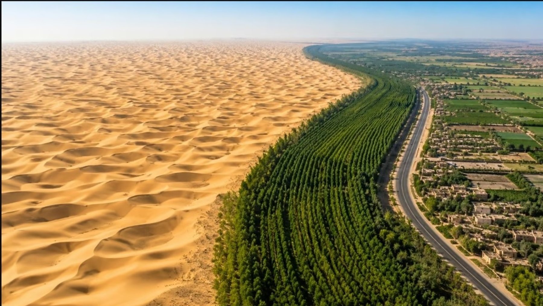 Plantaban millones de árboles contra el desierto y casi todos morían, hasta que un agrónomo miró bajo el suelo de Níger y encontró un bosque escondido Plantaban millones de árboles contra el desierto y casi todos morían, hasta que un agrónomo miró bajo el suelo de Níger y encontró un bosque escondido