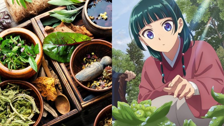 Plantas medicinales: cuando el conocimiento ancestral se vuelve ciencia