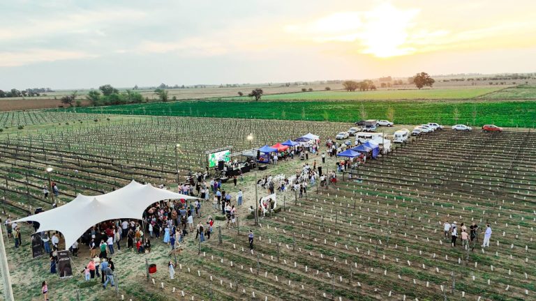 Primavera entre vides: el encanto de los vinos pampeanos se celebró en Trenel