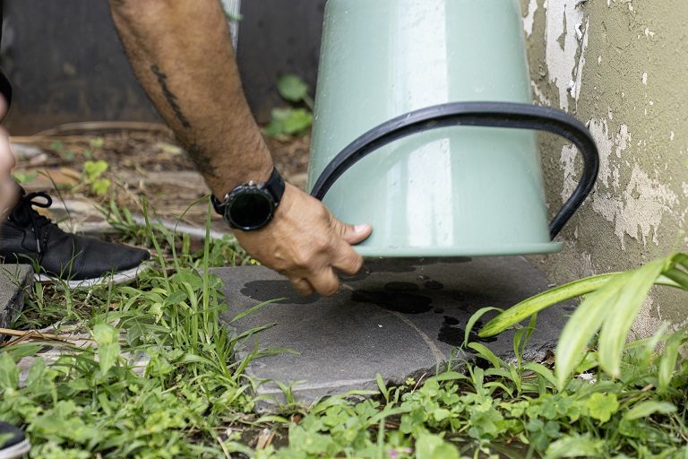 Profundizan la descacharrización en barrios donde hubo altos índices de huevos de mosquitos