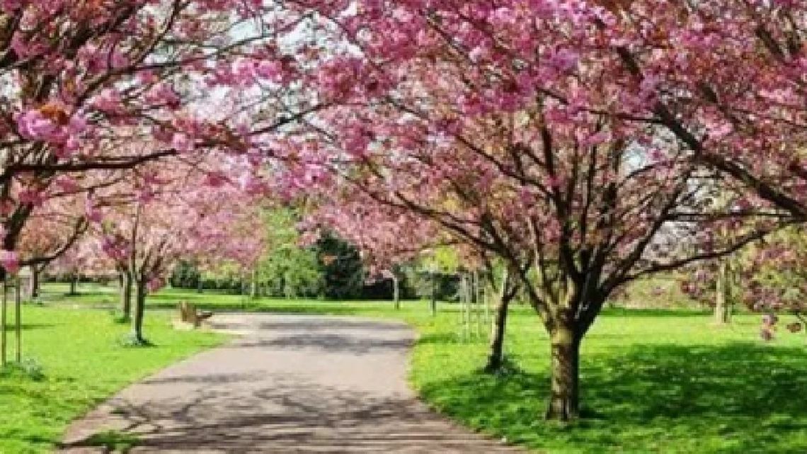 Pronóstico del clima en Buenos Aires: temperaturas subirán de 5°C a 25°C durante la primera semana de primavera