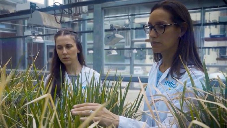 Renata Reinheimer: innovadora propuesta argentina revoluciona a la agricultura con una tecnología para cultivos perennes y OMPI 2026