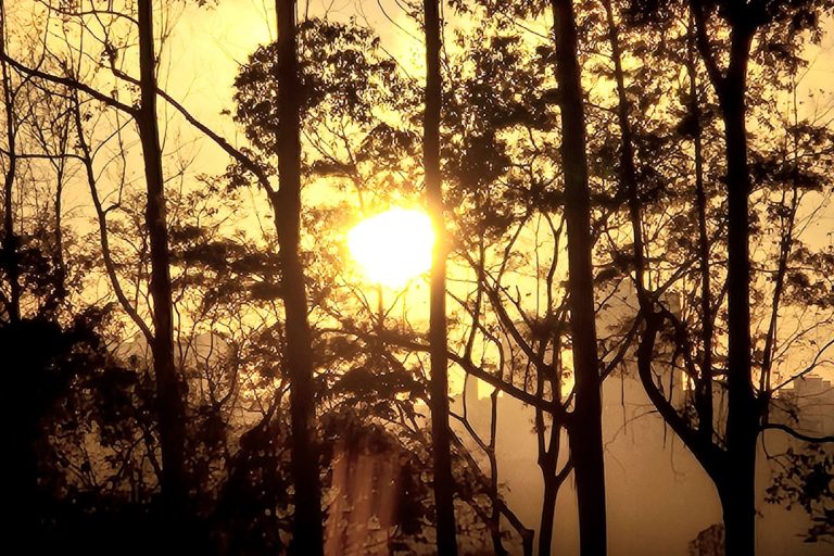 Se instala una masa de aire cálido: el país tendrá máximas de hasta 42°C durante el fin de semana