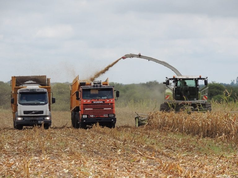 Se puso en vigencia el nuevo régimen ambiental para la actividad productiva en Entre Ríos