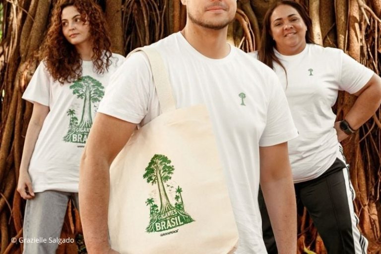 Semana da Árvore: conheça gigantes que ajudam a manter a Amazônia de pé