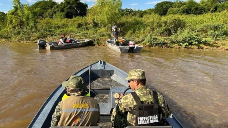 Un cardumen de dorados avanza por el Paraná y activa una veda dinámica para protegerlos de la pesca furtiva en Corrientes
