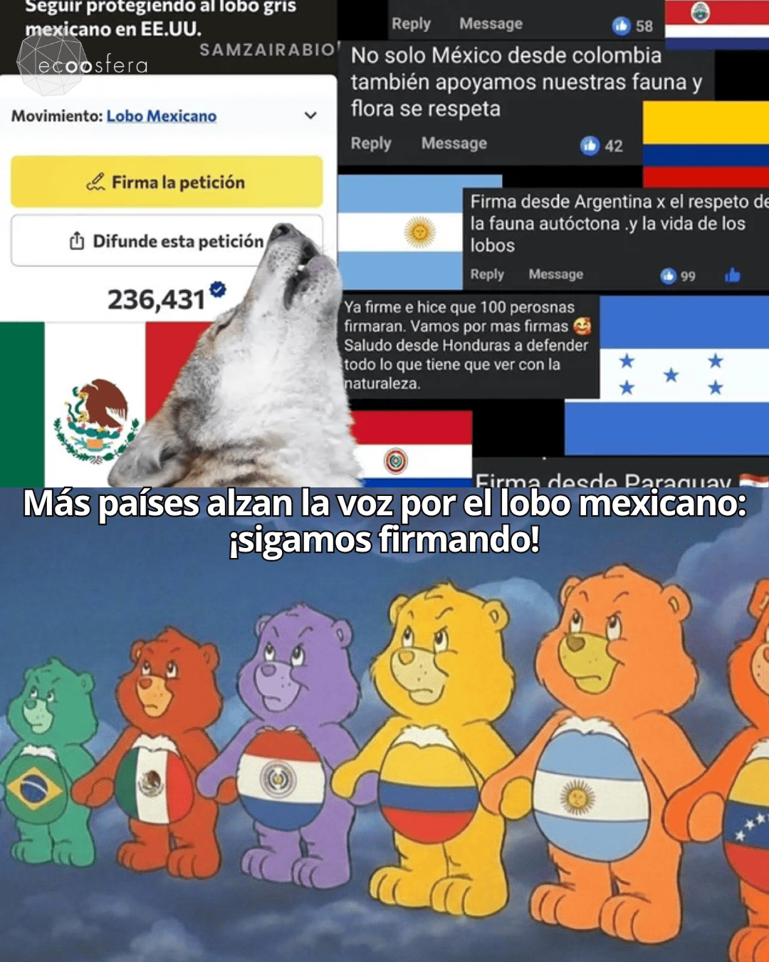 Washington tiene 90 días para decidir si el lobo mexicano sigue existiendo Washington tiene 90 días para decidir si el lobo mexicano sigue existiendo