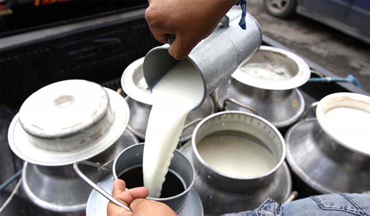 Alertan que el precio de la Leche aumentará hasta los Bs 15 por litro || El sector lechero advierte que el ajuste responde al encarecimiento del diésel y de los insumos para la producción. Alertan que el precio de la Leche aumentará hasta los Bs 15 por litro || El sector lechero advierte que el ajuste responde al encarecimiento del diésel y de los insumos para la producción.