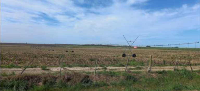 El informe ambiental del PLOT Libertad alerta por la pérdida de suelo fértil por las prácticas agrícolas