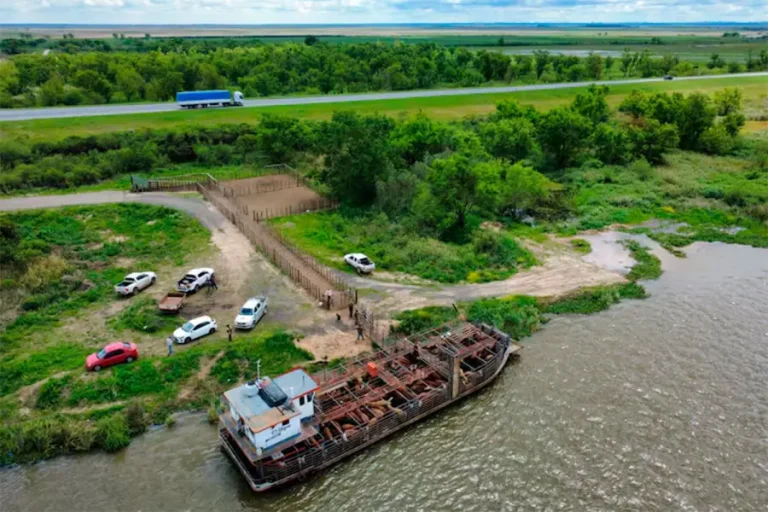 Evacuar ganado de las islas durante una creciente puede costar casi  millones