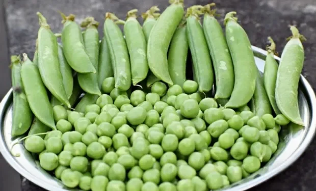 Las arvejas, verdaderas joyas nutritivas