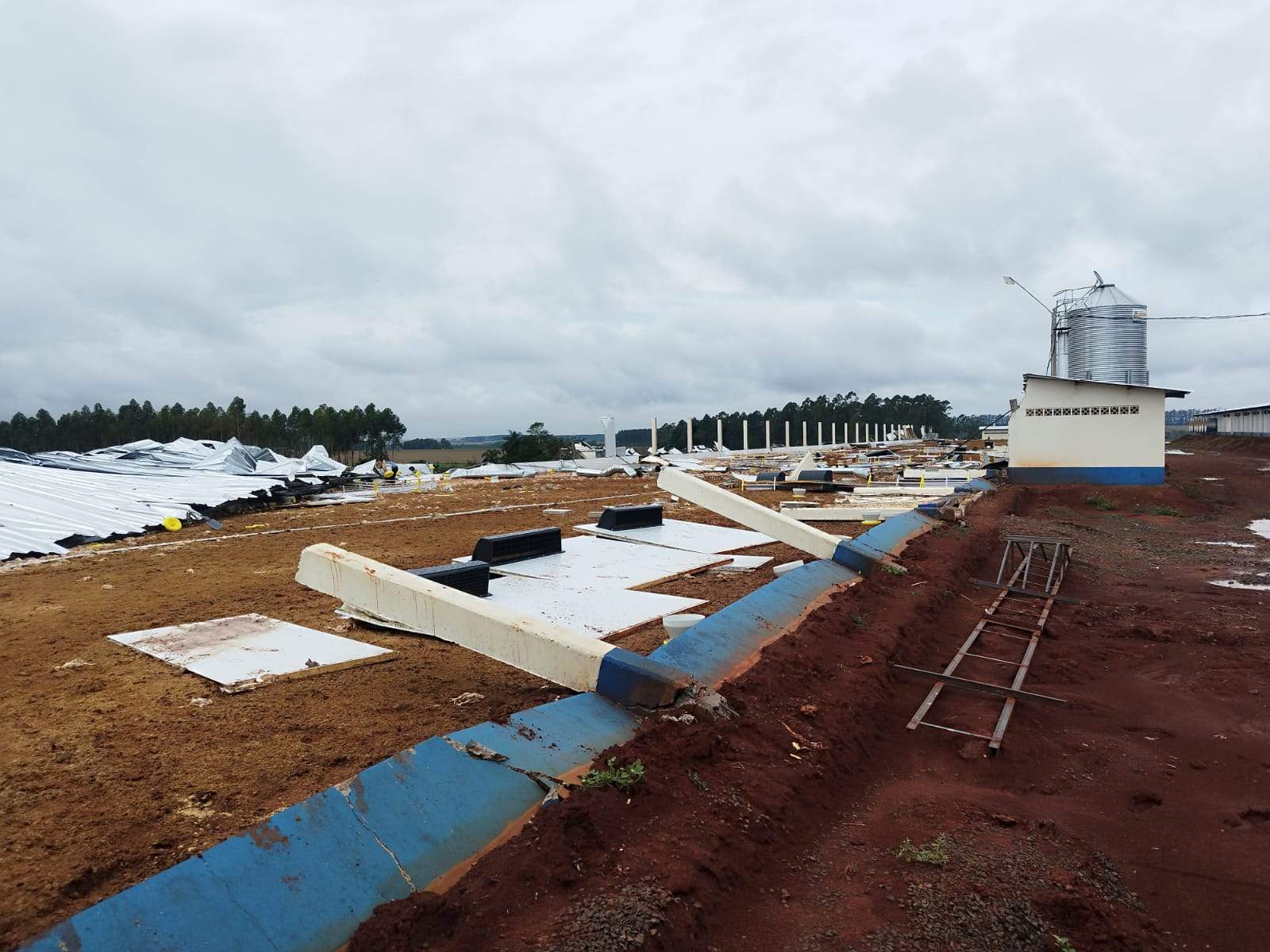 Temporal también causó daños en cultivos: Caaguazú, la zona más afectada Temporal también causó daños en cultivos: Caaguazú, la zona más afectada