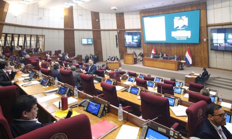 Tras las elecciones municipales, Diputados volverán a debatir multas para los “raboneros”