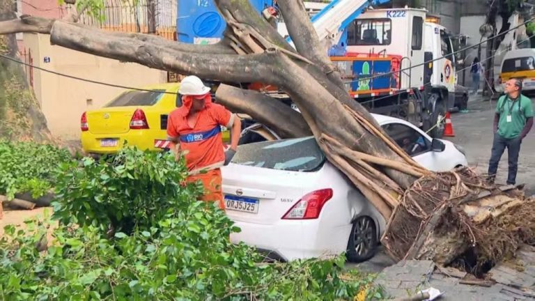 Ventania derruba árvores e causa estragos no Rio