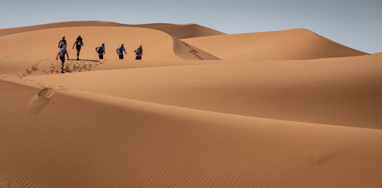 Mucho más que sólo Números (en el desierto)